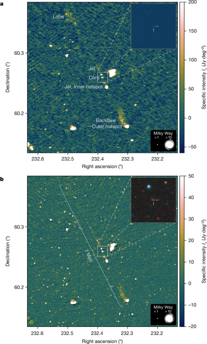 Black hole jets on the scale of the cosmic web post thumbnail image