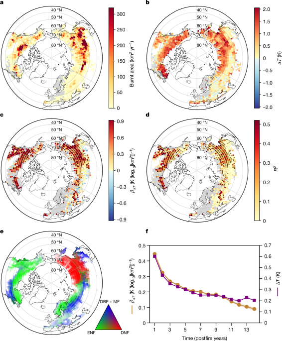 Forest fire size amplifies postfire land surface warming post thumbnail image