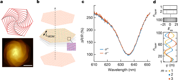 Opto-twistronic Hall effect in a three-dimensional spiral lattice post thumbnail image