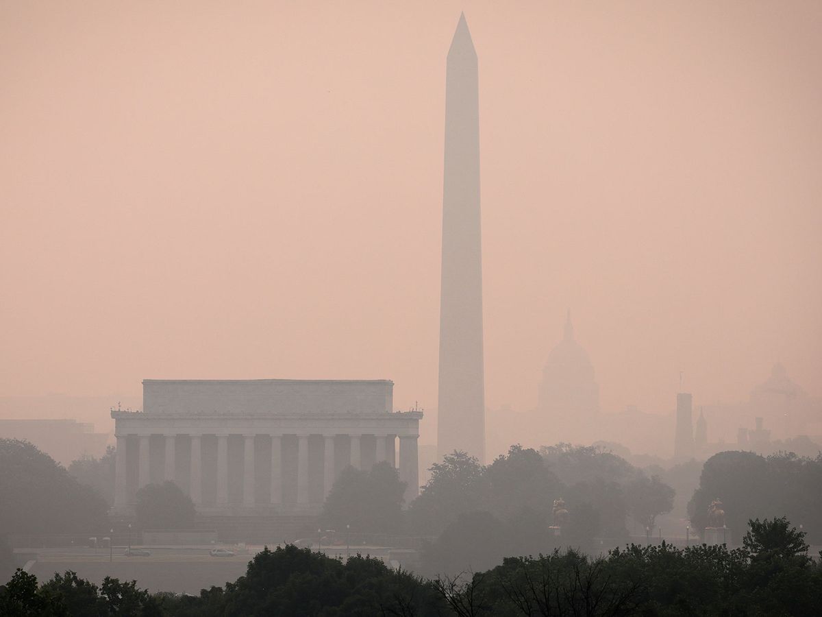 Is Wildfire Smoke Causing Birds to Tend to Empty Nests? post thumbnail image