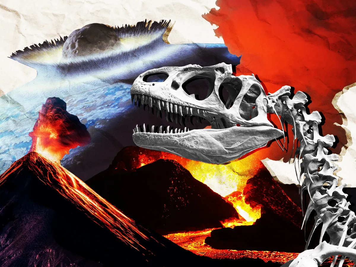 Has Life on Earth Survived More Than Five Mass Extinctions? post thumbnail image