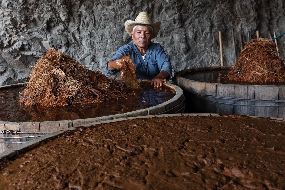 The Race to Save Mezcal From the World post thumbnail image