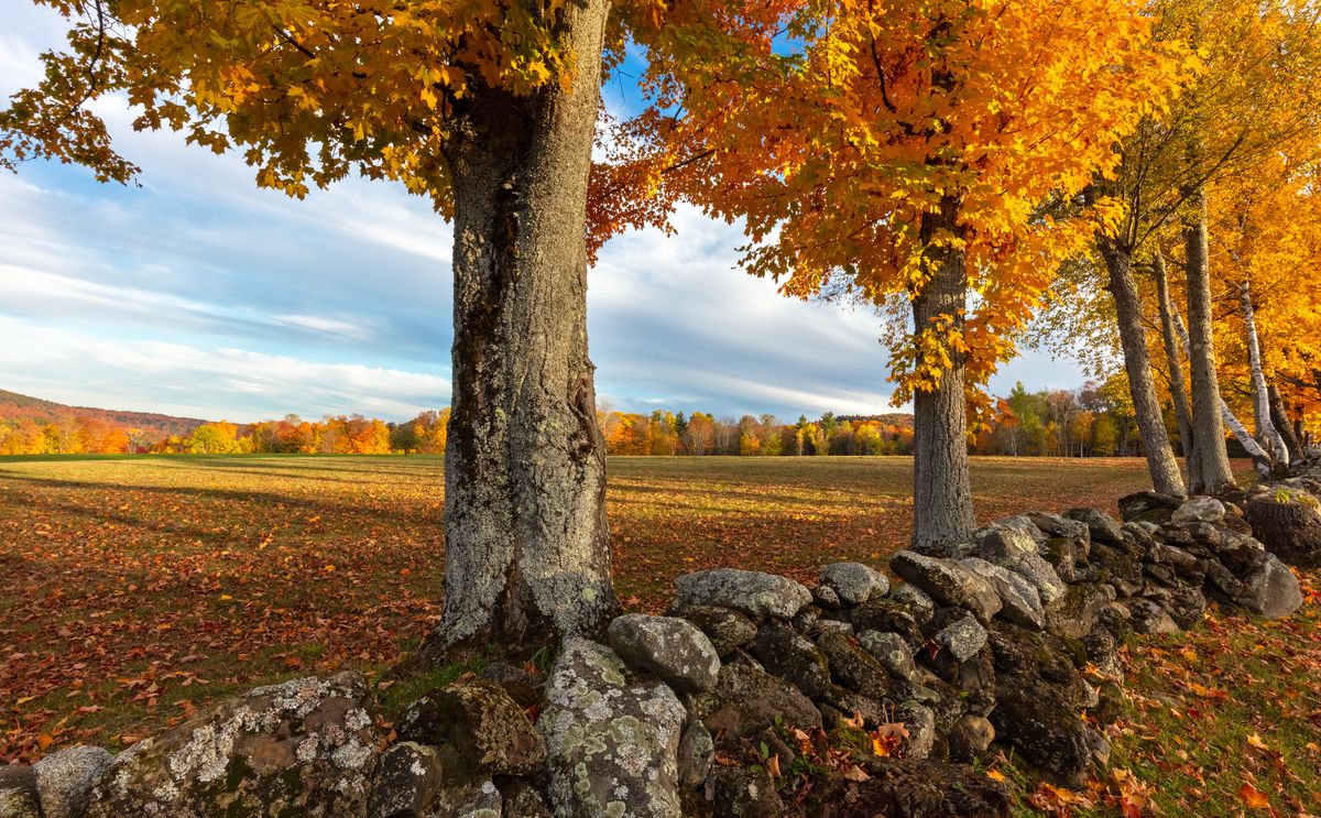 The History of New England’s Stone Walls post thumbnail image