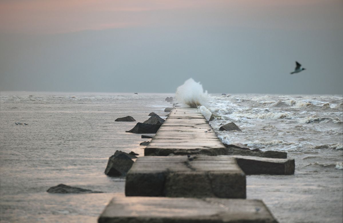 Galveston’s Texas-Size Plan to Stop the Next Big Storm post thumbnail image