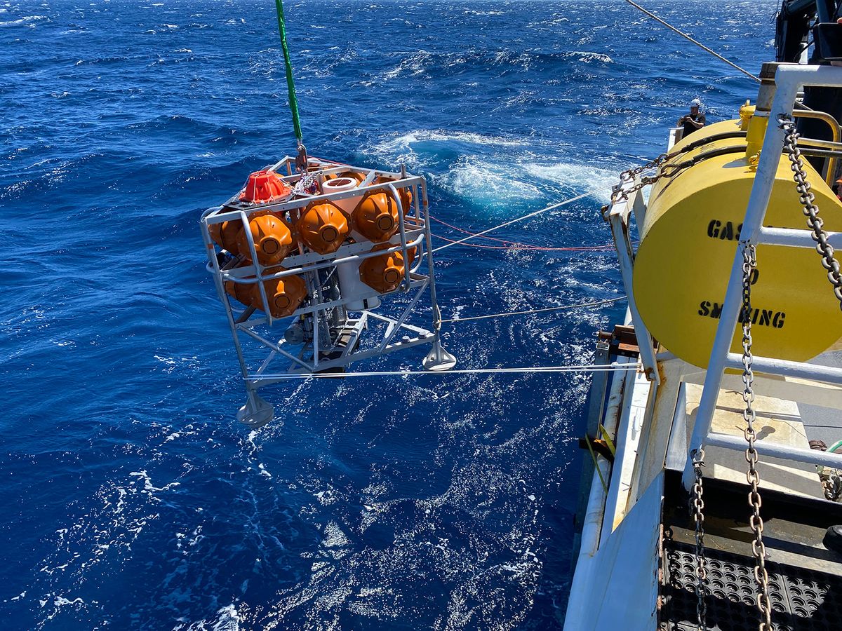 These Innovative Landers Will Examine Coral Reefs in the Gulf of Mexico post thumbnail image