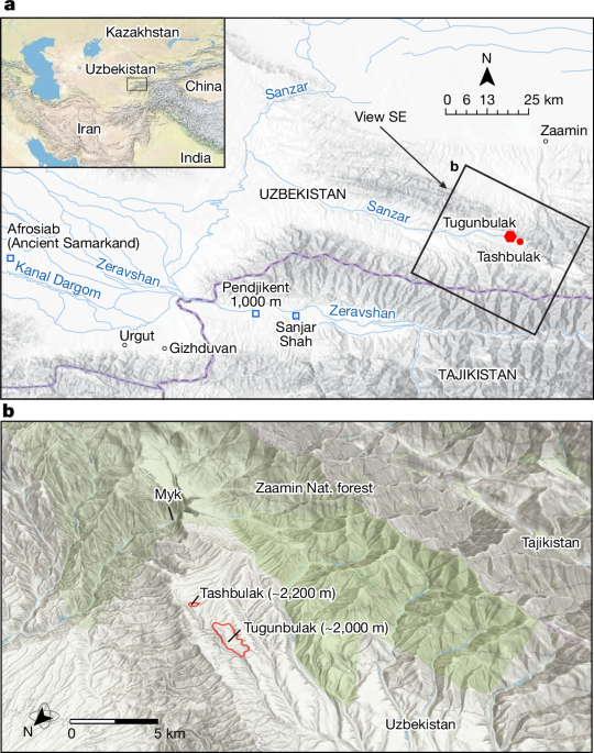 Large-scale medieval urbanism traced by UAV–lidar in highland Central Asia post thumbnail image