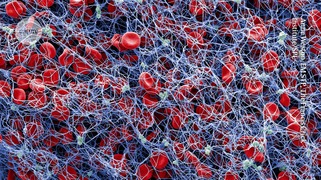 ‘Neural tourniquet’ controls bleeding with nerve stimulation post thumbnail image