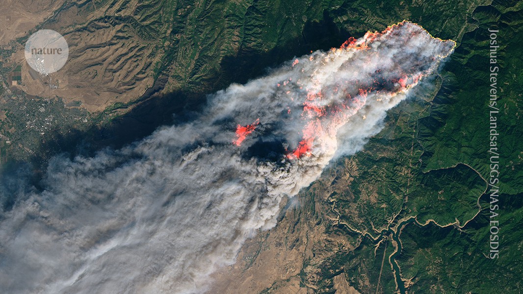 Extreme fire seasons are looming — science can help us adapt post thumbnail image