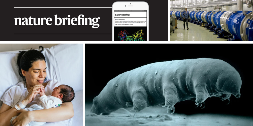 Specialized genes of new tardigrade species arm it with radiation shield post thumbnail image