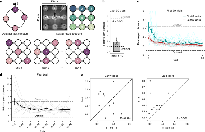 A cellular basis for mapping behavioural structure post thumbnail image