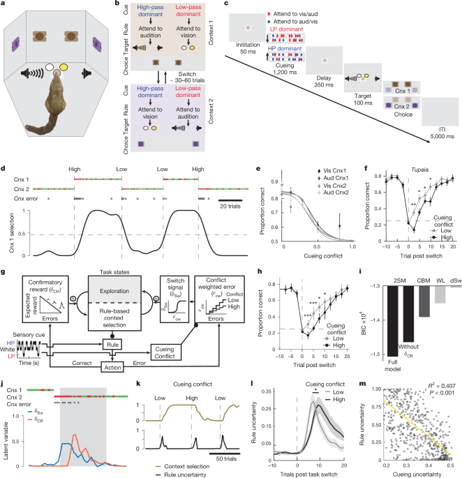 Prefrontal transthalamic uncertainty processing drives flexible switching post thumbnail image