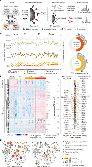 Clinical functional proteomics of intercellular signalling in pancreatic cancer post thumbnail image