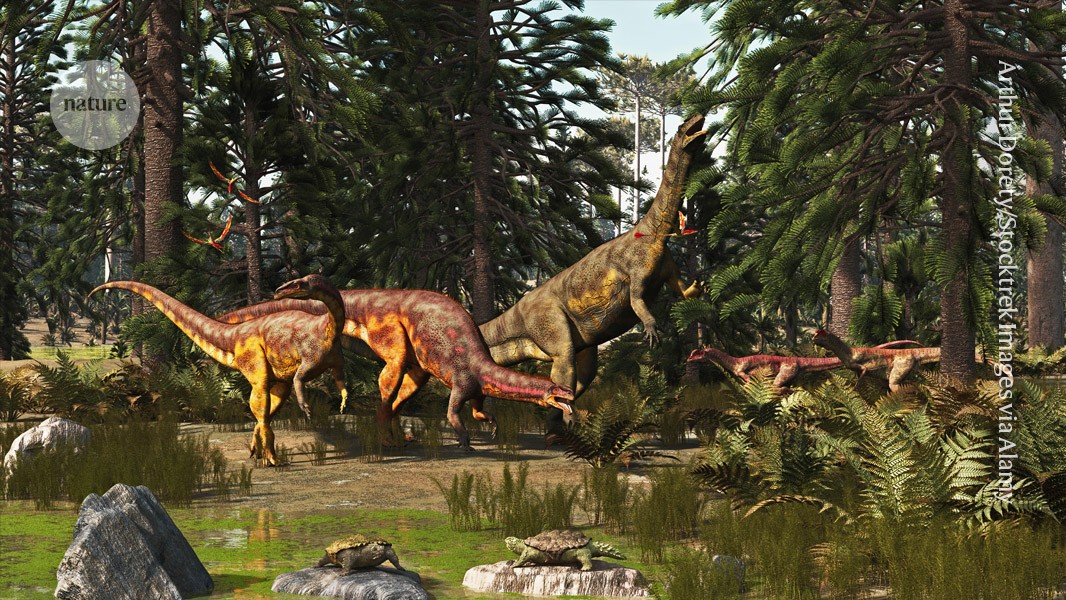 Fossilized poo and vomit shows how dinosaurs rose to rule Earth post thumbnail image