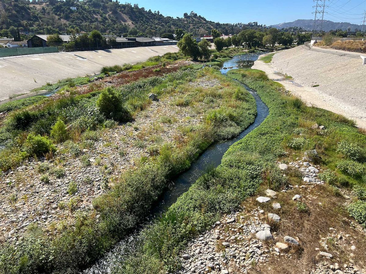 How the Arrival of an Endangered Bird Indicates What’s Possible for the L.A. River post thumbnail image