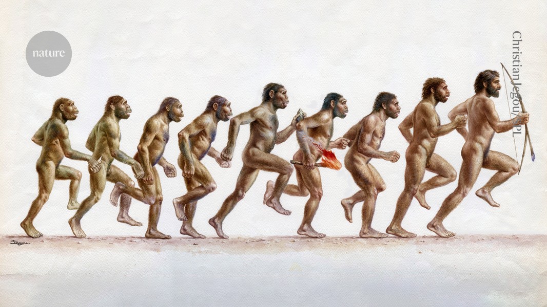 Humans evolved for distance running – but ancestor ‘Lucy’ didn’t go far or fast post thumbnail image