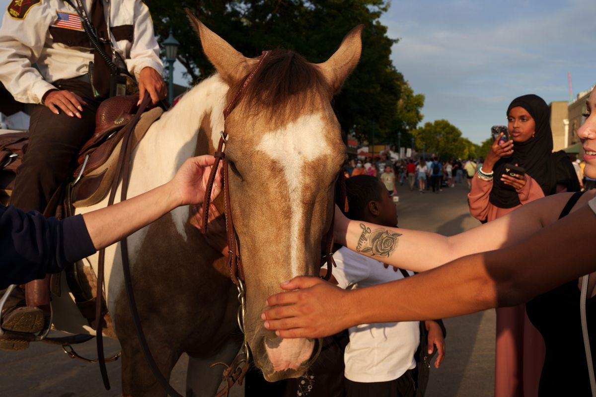 These 15 Majestic Photos Show Just Why Humans Adore Horses post thumbnail image