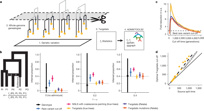 High-resolution genomic history of early medieval Europe post thumbnail image