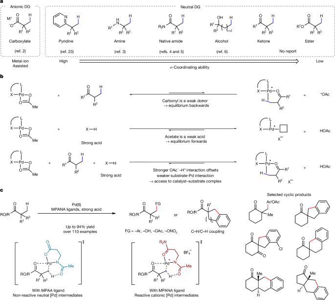 β-C−H bond functionalization of ketones and esters by cationic Pd complexes post thumbnail image