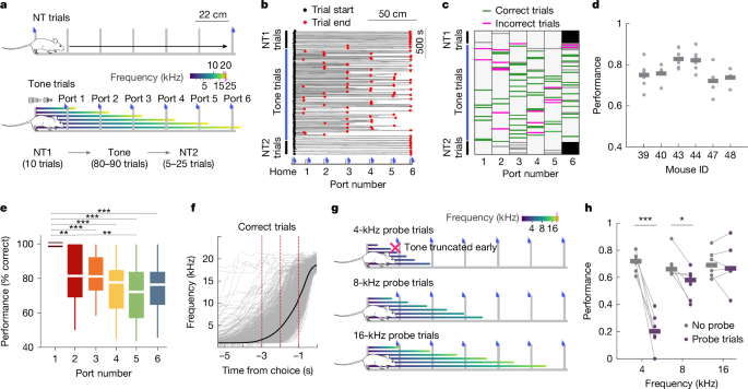 Hippocampal neuronal activity is aligned with action plans post thumbnail image