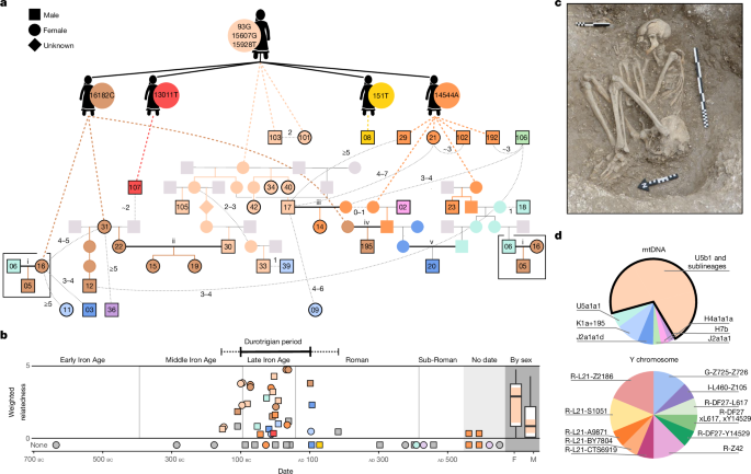 Continental influx and pervasive matrilocality in Iron Age Britain post thumbnail image