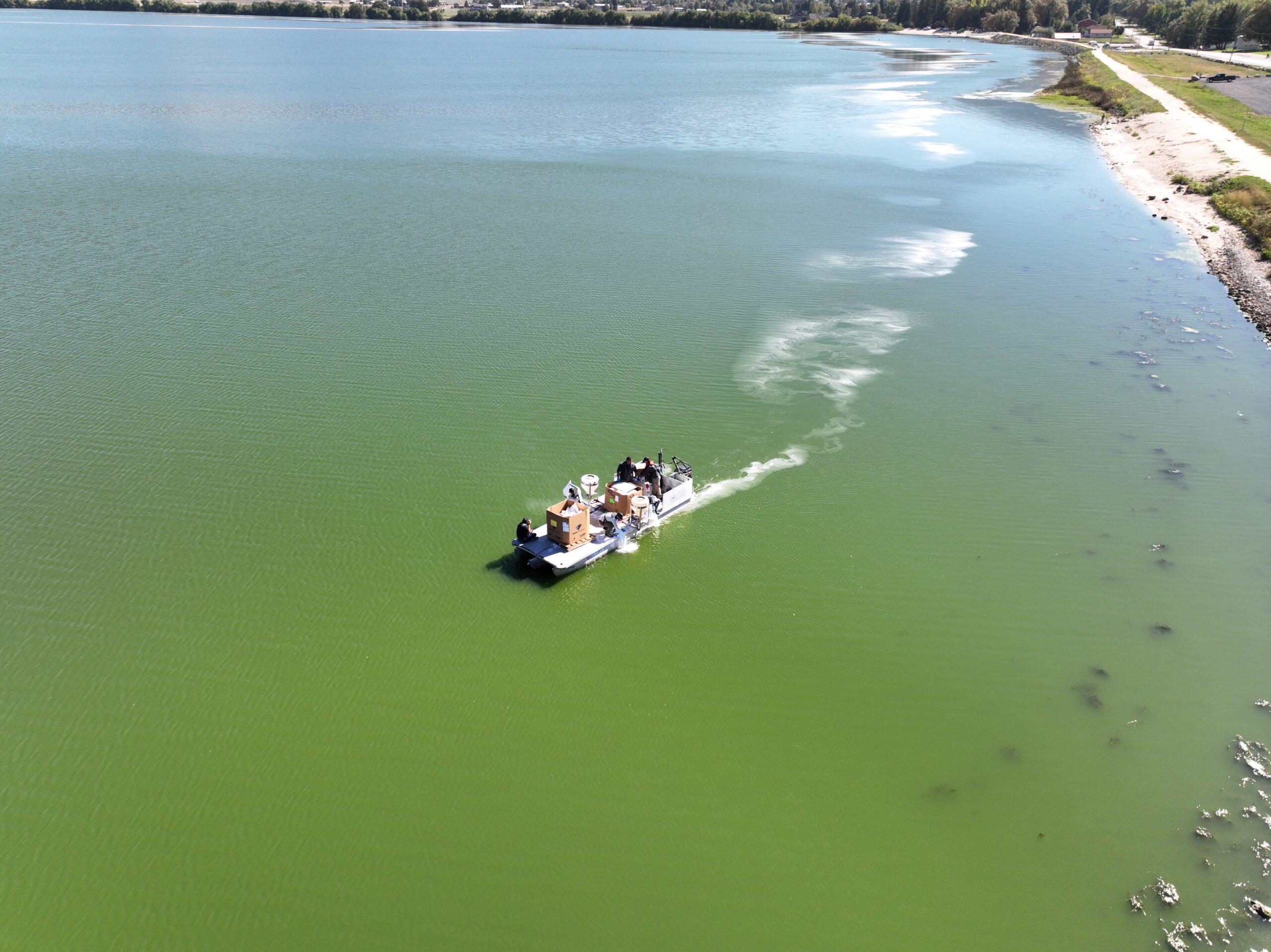 How Cleaning Up Harmful Algal Blooms Could Help Fight Climate Change post thumbnail image