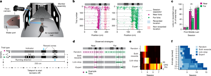 Learning produces an orthogonalized state machine in the hippocampus post thumbnail image