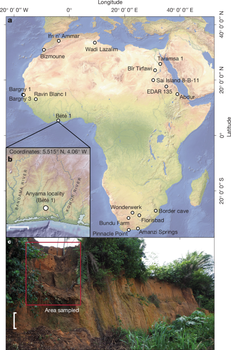 Humans in Africa’s wet tropical forests 150 thousand years ago post thumbnail image