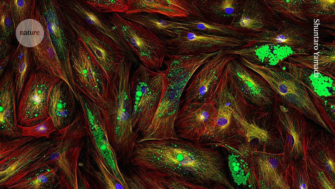 See fat cells forming in super-sharp focus — February’s best science images post thumbnail image