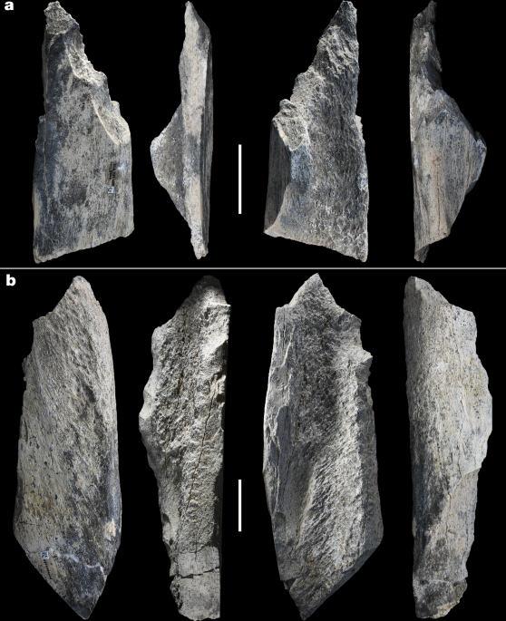 Systematic bone tool production at 1.5 million years ago post thumbnail image