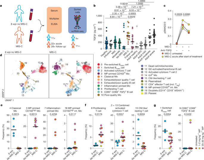 TGFβ links EBV to multisystem inflammatory syndrome in children post thumbnail image