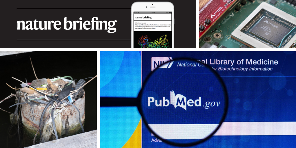 PubMed blackout stokes fears about database’s future post thumbnail image